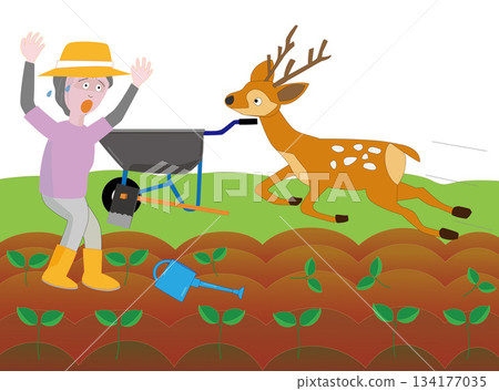 A woman is surprised to encounter a deer A woman is surprised to encounter a deer 134177035