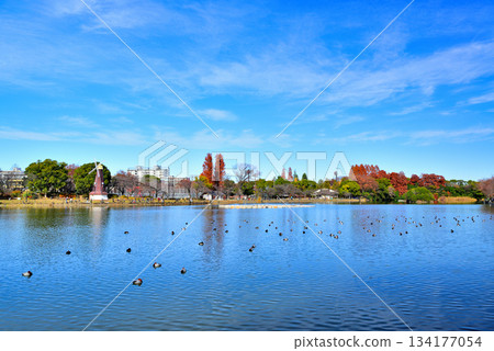 深秋的烏基馬公園：烏基馬池塘與風車 134177054