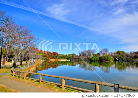 Ukima Park in late autumn: Ukima Pond and windmill Ukima Park in late autumn: Ukima Pond and windmill 134177060
