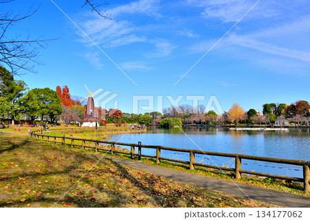 深秋的烏基馬公園:烏基馬池塘與風車 深秋的烏基馬公園:烏基馬池塘與風車 134177062