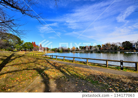 深秋的烏基馬公園：烏基馬池塘與風車 134177063