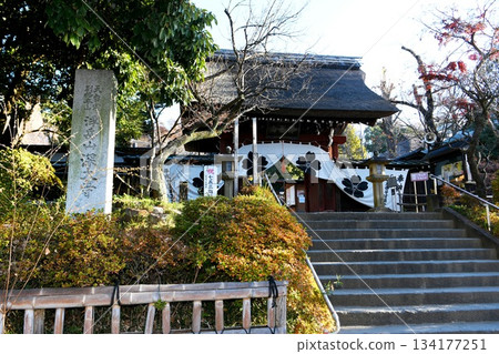【調布市:深大寺的寺門和石階,依偎在國分寺峭壁上,那裡泉水充沛】 【調布市:深大寺的寺門和石階,依偎在國分寺峭壁上,那裡泉水充沛】 134177251