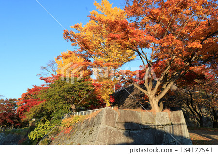 盛岡城堡秋葉公園廢墟 134177541