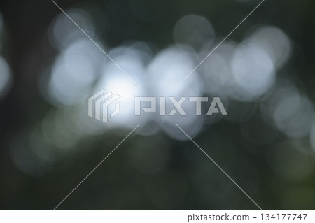 Abstract bokeh lights background texture in dark green forest. Abstract bokeh lights background texture in dark green forest. 134177747