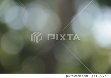 Green nature bokeh soft background light effect texture. Green nature bokeh soft background light effect texture. 134177748
