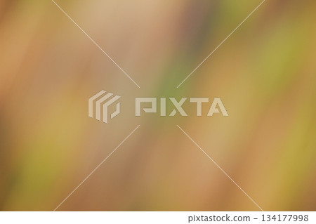 Warm autumn color palette abstract background with motion blur lines Warm autumn color palette abstract background with motion blur lines 134177998