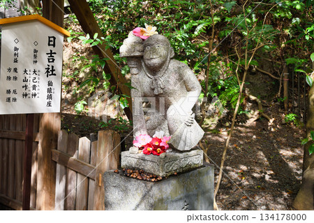 京都大豐神社:駒丸與美麗的山茶花(京都府京都市左京區) 京都大豐神社:駒丸與美麗的山茶花(京都府京都市左京區) 134178000