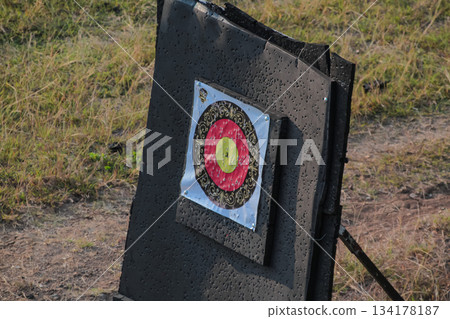 Close up view of colorful archery target standing outdoors on a dry grassy field 134178187