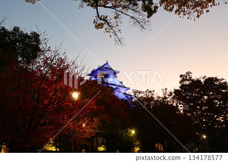 Osaka Castle Autumn Light-up 134178577