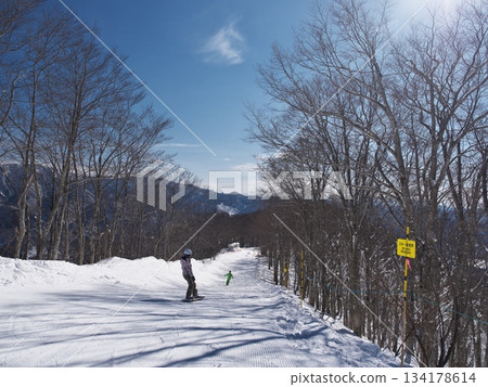 Hakuba Cortina Ski Resort's Hiedayama Ridge Course 134178614