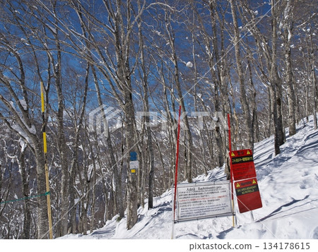 Backcountry entrance near the summit station of the Cortina 4 Pair Lift at Hakuba Cortina Ski Resort 134178615