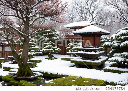 一片寧靜的景象，苔蘚和盆景樹被白雪覆蓋。 134178784