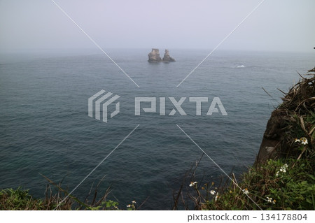 美麗的海景，水下岩層 134178804