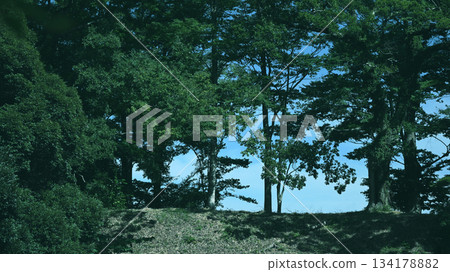 小山丘和樹木 小山丘和樹木 134178882