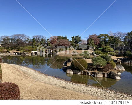 陽光明媚的日式花園 134179119