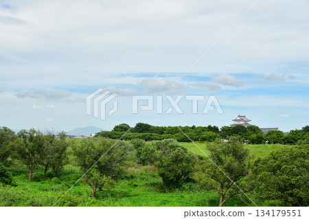 從中之島公園看到的景色 從中之島公園看到的景色 134179551