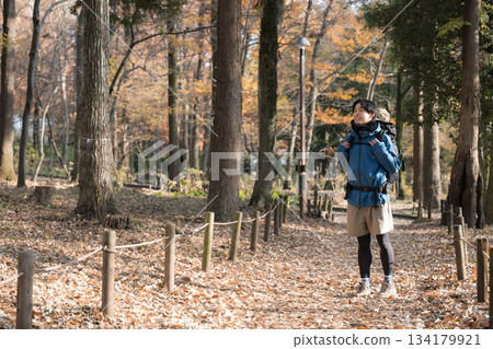 A young man climbing a mountain with autumn leaves, full body looking at the scenery A young man climbing a mountain with autumn leaves, full body looking at the scenery 134179921