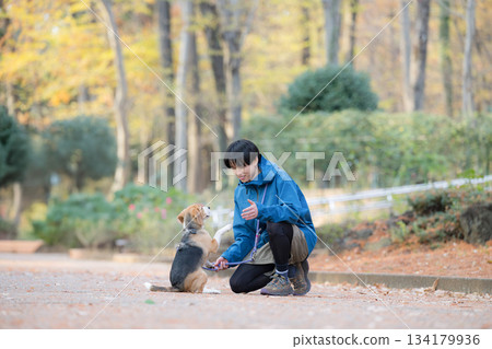 一位微笑的男子在秋日的公園帶著他的狗散步，享受著與寵物相處的時光。 134179936