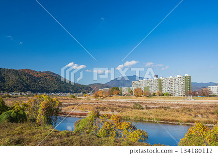 從桂川右岸眺望左岸的公寓大樓,京都 從桂川右岸眺望左岸的公寓大樓,京都 134180112