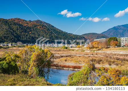 從桂川右岸眺望左岸，京都會區 134180113