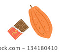 Chocolate and cocoa beans illustration 134180410