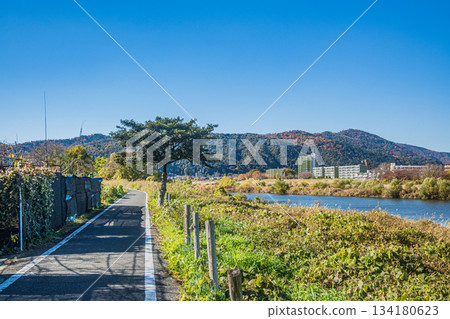 京都桂川沿岸的京花輪自行車道 京都桂川沿岸的京花輪自行車道 134180623
