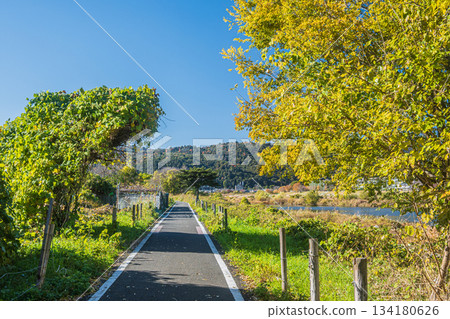 Keihanawa Cycling Path along the Katsura River, Kyoto City 134180626