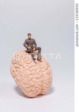 Business Concept: Leader on Human Brain Business Concept: Leader on Human Brain 134180939