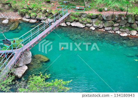 Lake Hakuryu in Kochi Prefecture 134180943