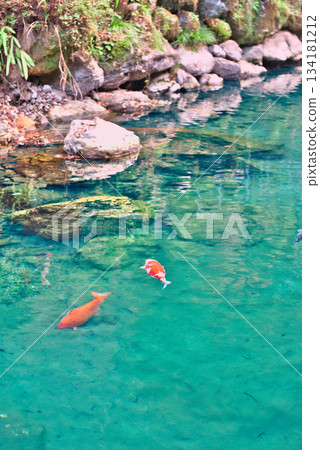 Lake Hakuryu in Kochi Prefecture 134181212