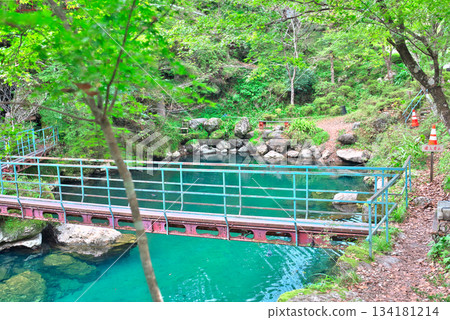 Lake Hakuryu in Kochi Prefecture 134181214