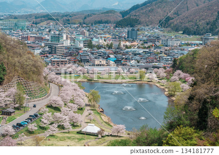 Tendo Park or Maizuru Park with Sakura Cherry Blossom in Spring season. Yamagata prefecture, Tohoku, Japan, 21 April 2025 Tendo Park or Maizuru Park with Sakura Cherry Blossom in Spring season. Yamagata prefecture, Tohoku, Japan, 21 April 2025 134181777