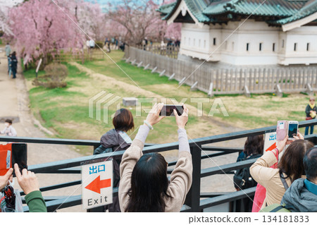 Beautiful Hirosaki Castle park with Sakura Cherry Blossom and Iwaki mount in Spring. Hirosaki city, Aomori prefecture, Tohoku, Japan, 25 April 2025 134181833