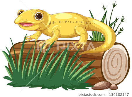 Yellow Salamander Resting on Log in Grassy Habitat 134182147