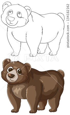 Cartoon Brown Bear Outline and Colored Vector Illustration 134182162