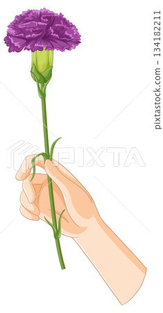 Hand Holding Purple Carnation Illustration Hand Holding Purple Carnation Illustration 134182211