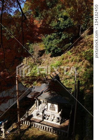 Tottori Shiki的步行秋天Ch訪Su訪神社 Tottori Shiki的步行秋天Ch訪Su訪神社 134182450