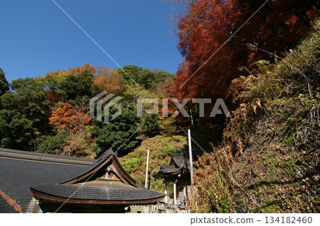 Tottori Shiki的步行秋天Ch訪Su訪神社 Tottori Shiki的步行秋天Ch訪Su訪神社 134182460