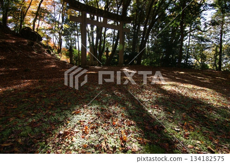 Tottori Shiki的步行秋天Ch訪Su訪神社 134182575