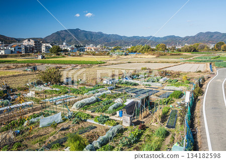 Rural scenery along the Katsura River, Kyoto City Rural scenery along the Katsura River, Kyoto City 134182598
