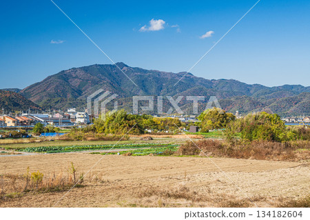 桂川沿岸的鄉村景色,可俯瞰愛宕山,京都會區 桂川沿岸的鄉村景色,可俯瞰愛宕山,京都會區 134182604