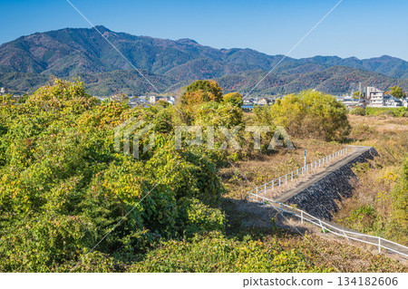 Forest scenery along the Katsura River, view of Mount Atago, Kyoto City Forest scenery along the Katsura River, view of Mount Atago, Kyoto City 134182606