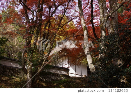 鳥取四個季節散步秋天鹽上寺 134182633
