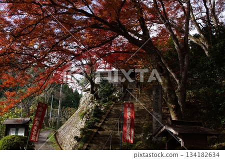 鳥取四個季節散步秋天鹽上寺 鳥取四個季節散步秋天鹽上寺 134182634