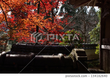 鳥取四個季節散步秋天鹽上寺 134182640