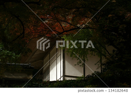 鳥取四個季節散步秋天鹽上寺 134182648
