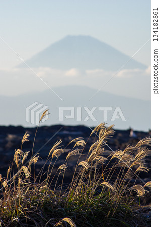 2025年從城島看到的富士山 134182861