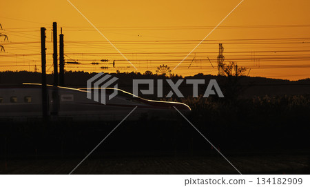 秋田新幹線小町號列車在夕陽中疾馳，遠處可見摩天輪。 134182909