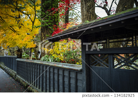 秋田縣角館武士宅邸的黑色牆壁和秋葉 秋田縣角館武士宅邸的黑色牆壁和秋葉 134182925