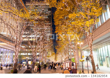 《Tokyo》 Marunouchi / Winter Illuminations 《Tokyo》 Marunouchi / Winter Illuminations 134182954